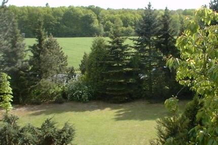 Wohnung Vordorf - 2 Zimmer, 110 m&sup2;, 500&euro; | Angebot:25782504