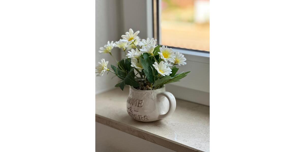 Wohnen auf Zeit Borsdorf - 4 Zimmer, 160 m&sup2;, 25&euro; | Angebot:22953458