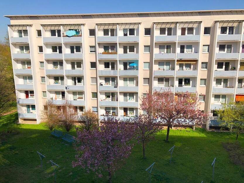 3-Raum-Wohnung mit Blick ins Grüne und Möblierung