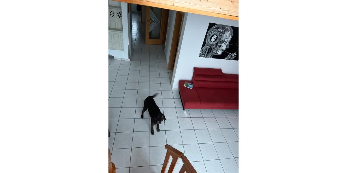 Etagenwohnung Neukirchen bei Sulzbach-Rosenberg Rosenberg - 3 Zimmer, 95 m&sup2;, 860&euro; | Angebot:25051988