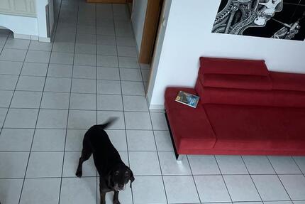 Wohnung Neukirchen bei Sulzbach-Rosenberg Rosenberg - 3 Zimmer, 95 m&sup2;, 860&euro; | Angebot:25051988