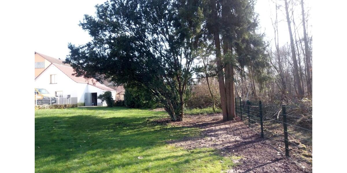 Moderne Dachgeschoss- Wohnung in Blieskastel-Breitfurt 3 zimmer