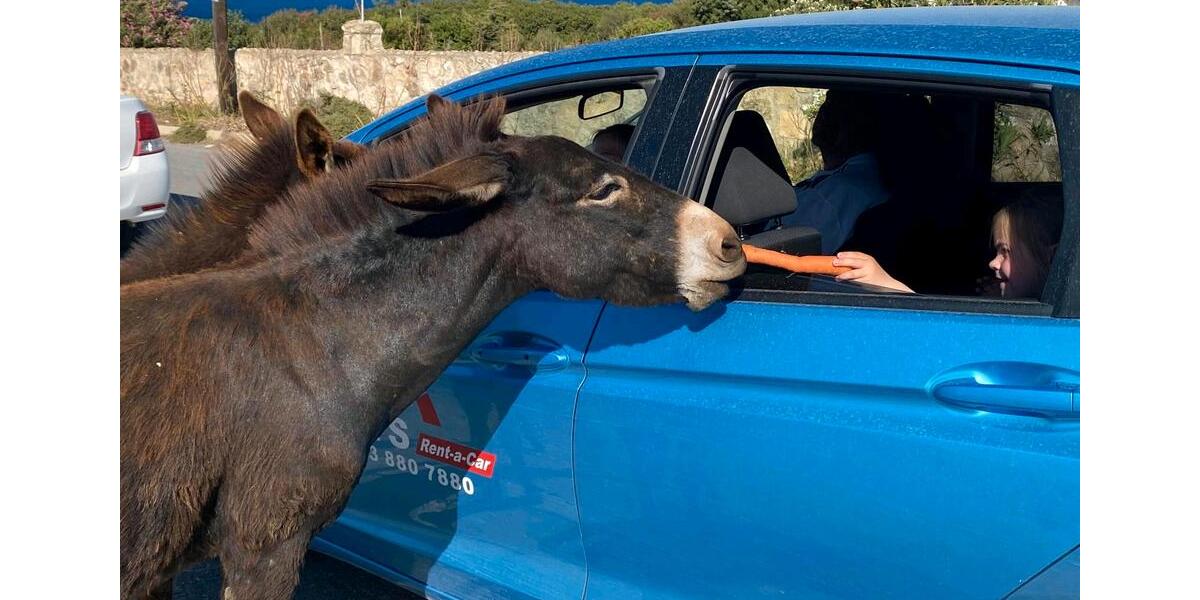 Erdgeschoßwohnung Bremervörde - 1 Zimmer, 45 m&sup2;, 500&euro; | Angebot:25723858