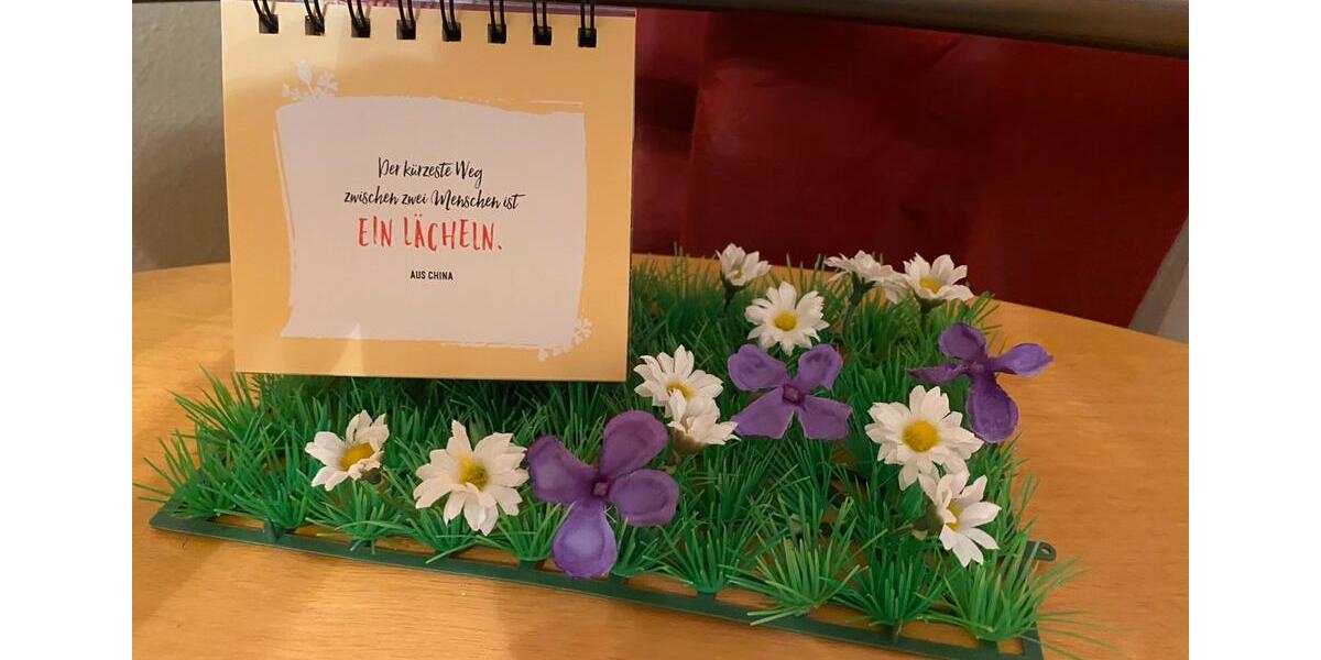 Erdgeschoßwohnung Freiburg im Breisgau Haslach - 1 Zimmer, 13 m&sup2;, 450&euro; | Angebot:26285263