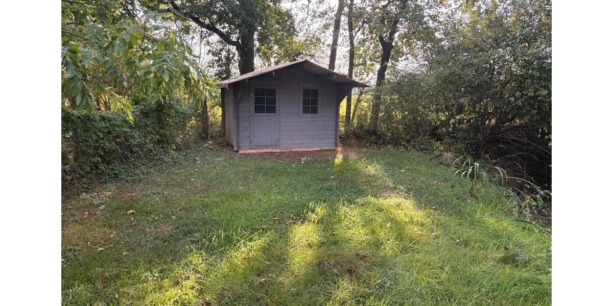 Fischteiche zu verpachten, Teich Pacht Wienhausen bei Celle zimmer