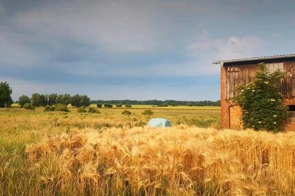 Wohnung Barth - 5 Zimmer, 130 m&sup2;, 975&euro; | Angebot:25377784