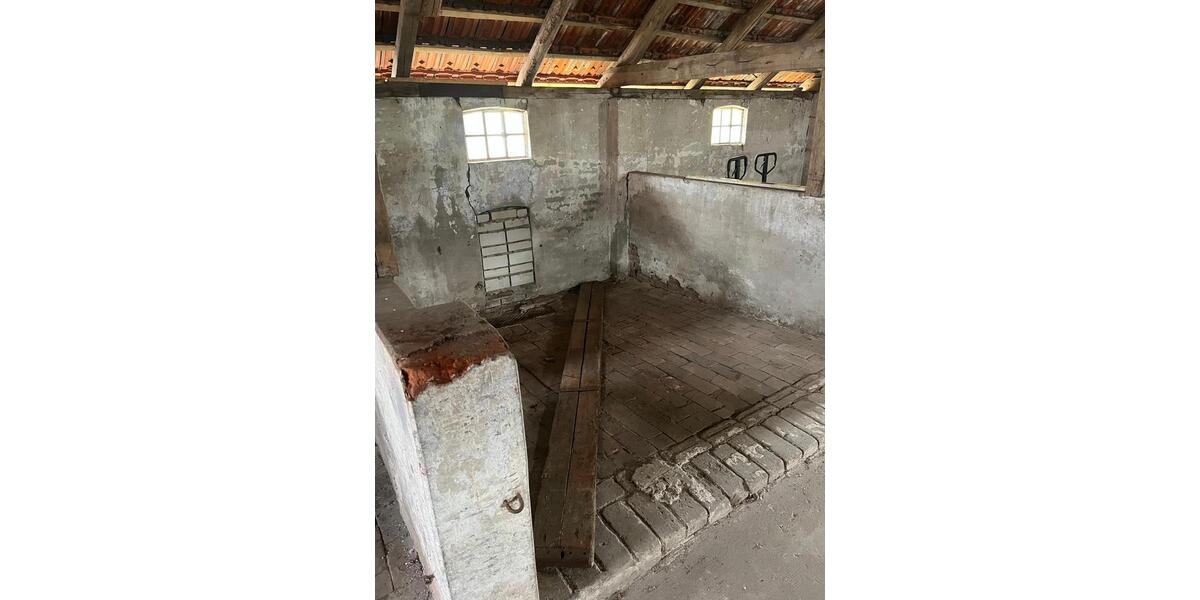 Gewerbeobjekt Diepholz - 250&euro; | Angebot:26350666