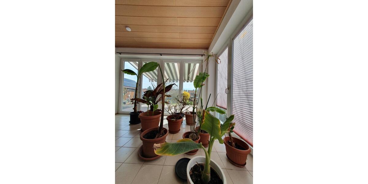 Erdgeschoßwohnung Sulzbach-Rosenberg Rosenberg - 3 Zimmer, 100 m&sup2;, 850&euro; | Angebot:26040536