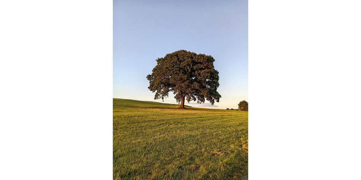 Wohnen auf Zeit Nümbrecht - 1 Zimmer, 25 m&sup2;, 22&euro; | Angebot:25252851