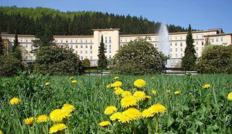 Etagenwohnung Breitenbrunn/Erzgebirge Erzgebirge - 4 Zimmer, 90 m&sup2;, 749&euro; | Angebot:25269316