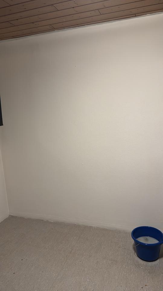 Wohnung zu vermieten