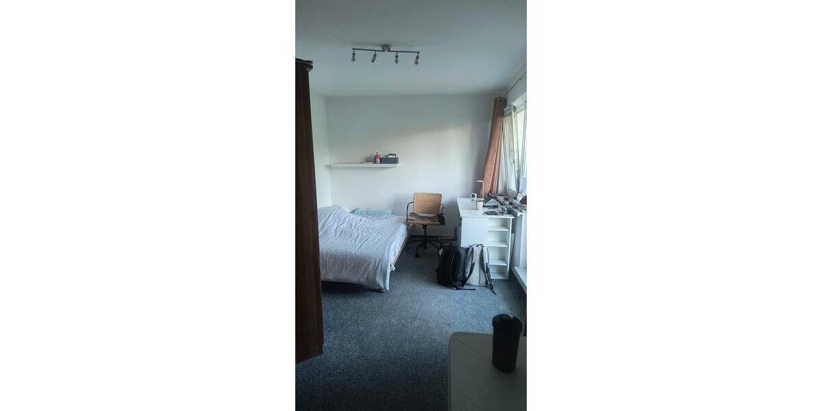 Etagenwohnung Greifswald - 1 Zimmer, 27 m&sup2;, 295&euro; | Angebot:26639899