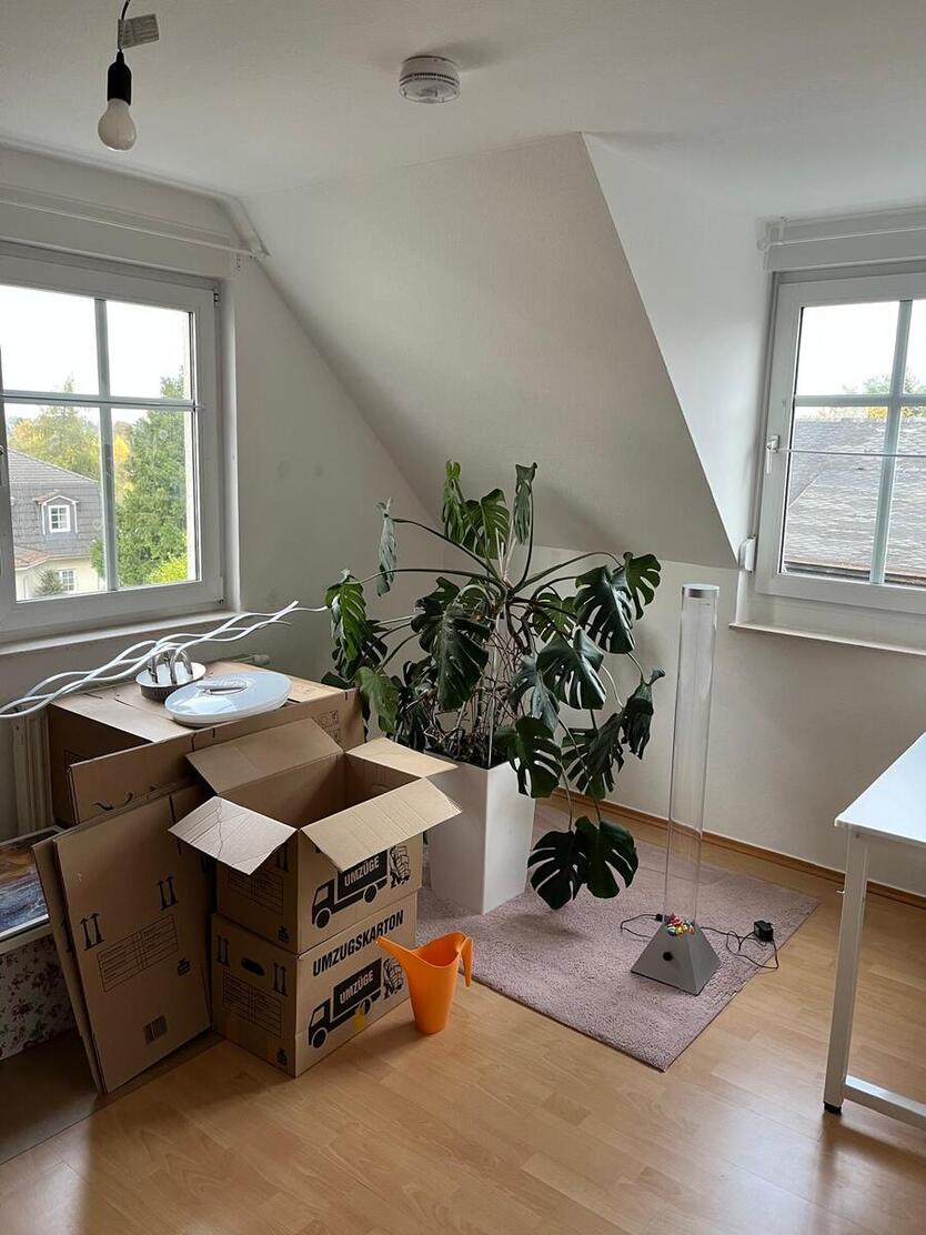 Helle 3,5-Zimmer-Galeriewohnung in Mockritz mit Balkon ( EBK + weitere Möbel können erworben werden) 2.5 zimmer