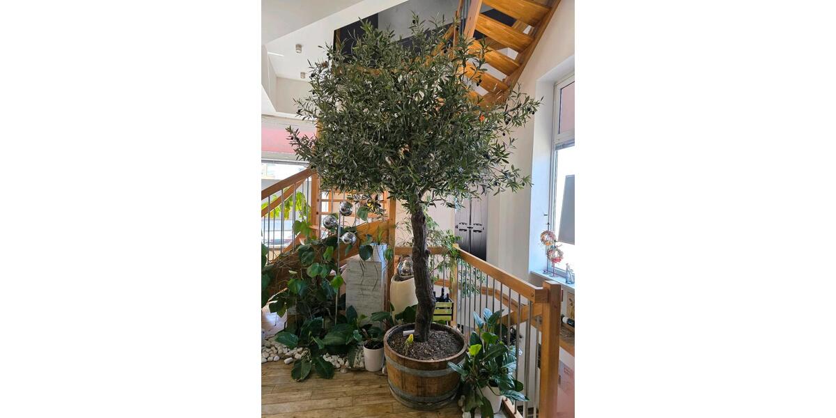 Gewerbeobjekt Brandenburg an der Havel - 980&euro; | Angebot:26504505