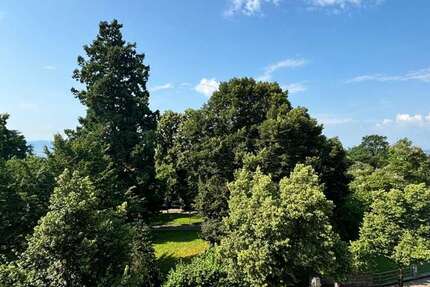 Wohnung zum Mieten in Friedrichshafen 1.290 € 61.46 m² 2 zimmer