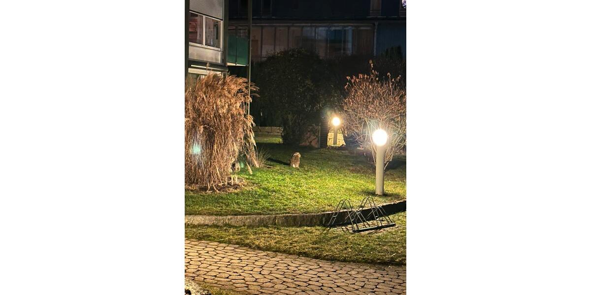 Erdgeschoßwohnung Deggendorf - 4 Zimmer, 80 m&sup2;, 980&euro; | Angebot:26039138