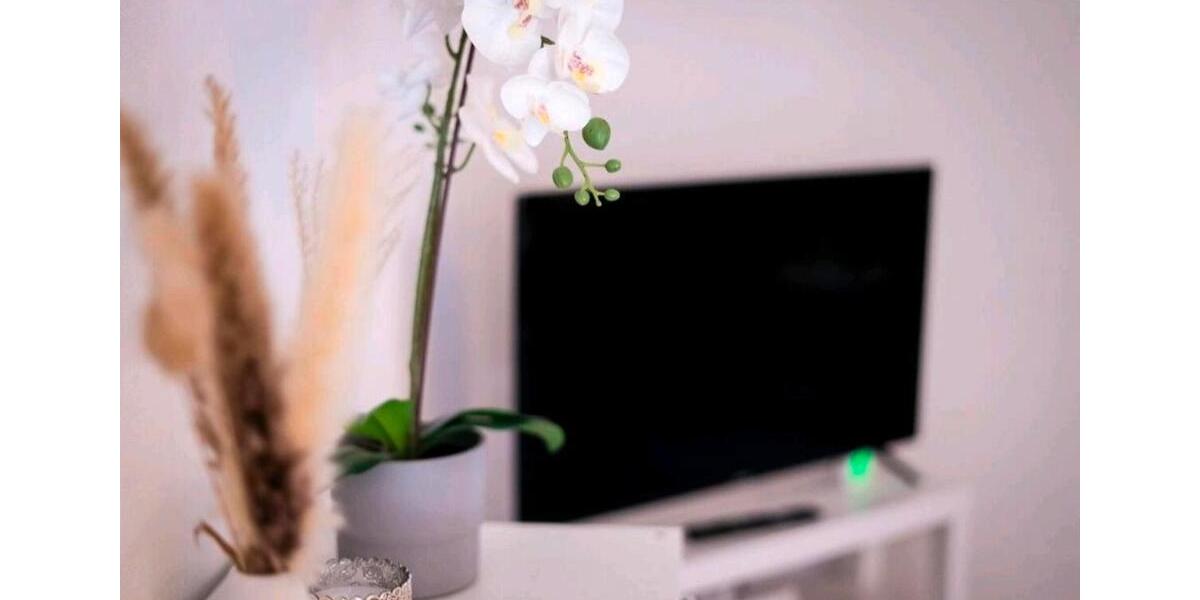 Wohnen auf Zeit Kottenheim - 1 Zimmer, 42 m&sup2;, 30&euro; | Angebot:26021894