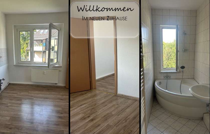 Wohnung zum Mieten in Zwickau 350 € 59 m² 3 zimmer