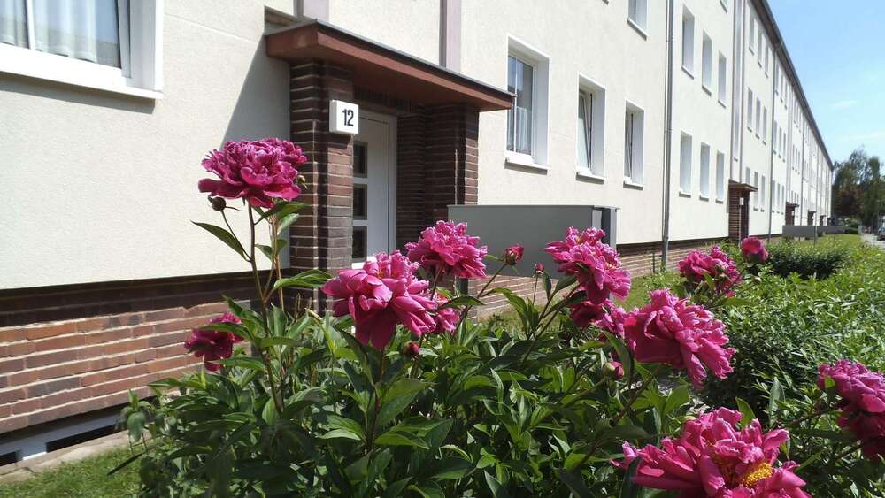 Etagenwohnung Magdeburg Diesdorf - 2 Zimmer, 62 m&sup2;, 470&euro; | Angebot:26767222