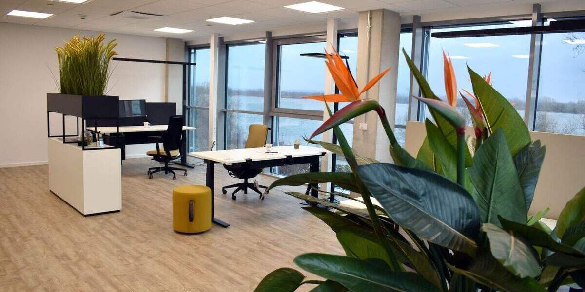 Gewerbeobjekt Wedel - 1 Zimmer, 76 m&sup2;, 1.300&euro; | Angebot:24904581