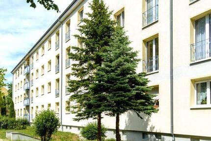 2-Raumwohnung im Erdgeschoss mit Dusche zimmer