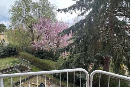 Wohnung zum Mieten in Kaiserslautern 480 € 60 m² 2 zimmer