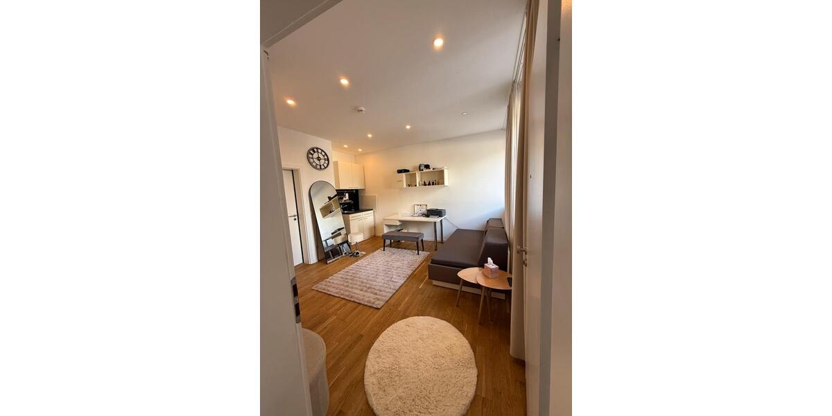 Erdgeschoßwohnung Bayreuth Bernecker Straße / Insel / Riedelsberg - 1 Zimmer, 22 m&sup2;, 450&euro; | Angebot:26577601