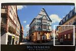 Gewerbeobjekt Miltenberg - 2.300&euro; | Angebot:25813931