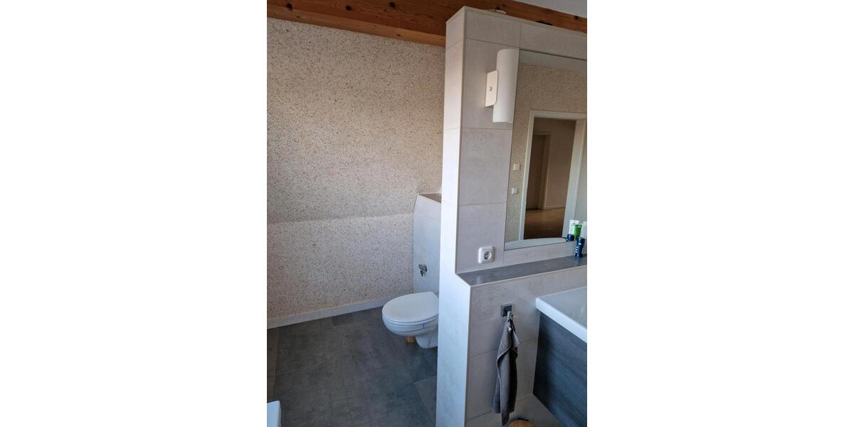 Wohnen auf Zeit Wiesbaden Biebrich - 1 Zimmer, 100 m&sup2;, 700&euro; | Angebot:25333238