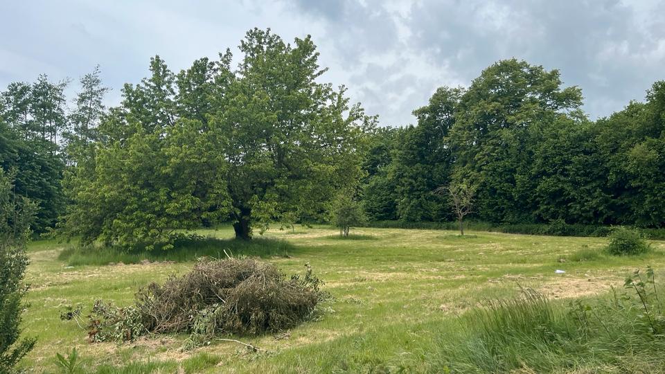Erdgeschoßwohnung Friedberg (Hessen) - 3.5 Zimmer, 131 m&sup2;, 1.350&euro; | Angebot:26610171