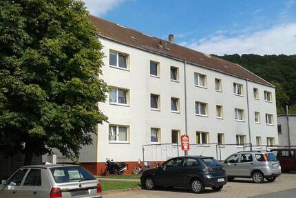 Wohnung Sangerhausen - 1 Zimmer, 32 m&sup2;, 180&euro; | Angebot:26566184