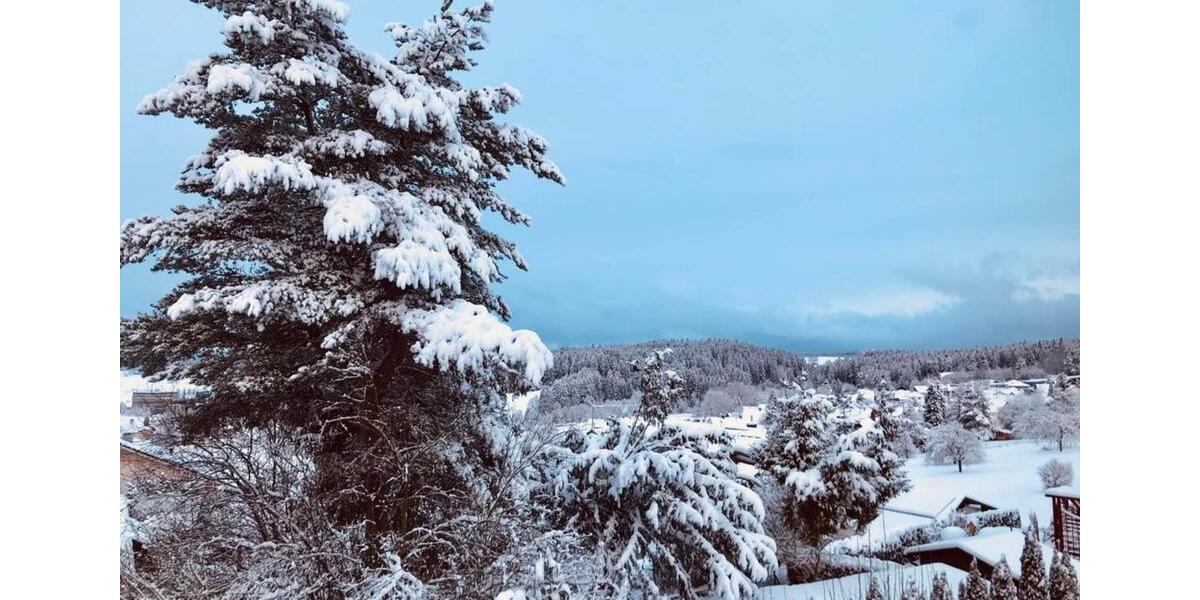 Terrassenwohnung Dornstetten - 2.5 Zimmer, 877&euro; | Angebot:23526644