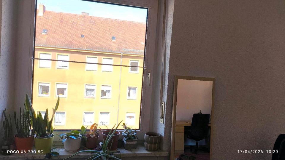 Wohnen auf Zeit Bayreuth City - 1 Zimmer, 17 m&sup2;, 350&euro; | Angebot:26215420