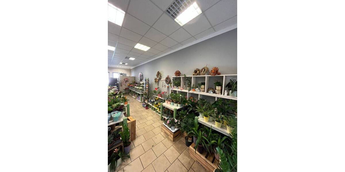 Gewerbeobjekt Stralsund Altstadt - 2 Zimmer, 1.290&euro; | Angebot:25733237