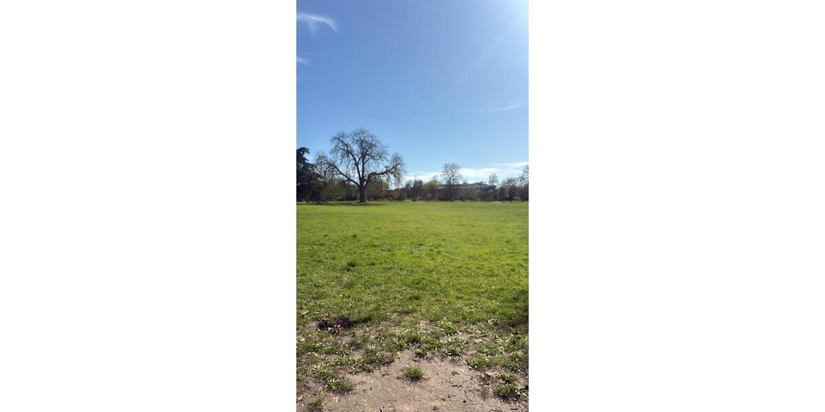 Wohnen auf Zeit Trossingen - 1 Zimmer, 40 m&sup2;, 495&euro; | Angebot:26224683