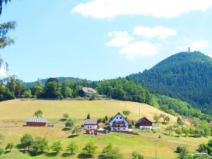 Müllerbauernhof-FerienWohnung-Ferienhaus-Urlaub im Schwarzwald