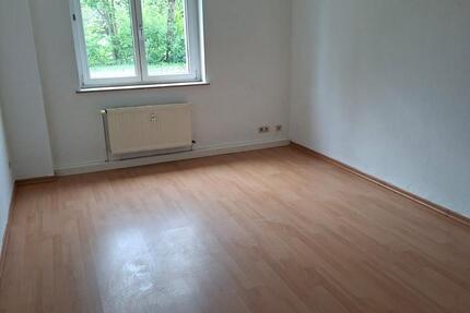 Wohnung Freital - 2 Zimmer, 45 m&sup2;, 300&euro; | Angebot:26463162