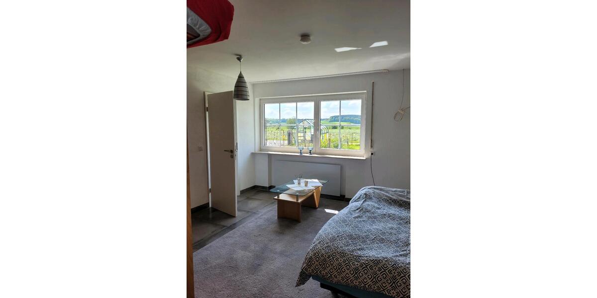 Erdgeschoßwohnung Meßkirch - 2 Zimmer, 47 m&sup2;, 650&euro; | Angebot:24653800