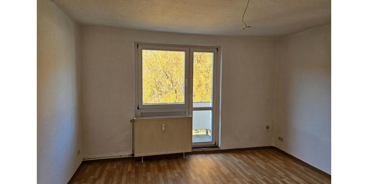 Etagenwohnung Kyffhäuserland - 3 Zimmer, 58 m&sup2;, 350&euro; | Angebot:23555116