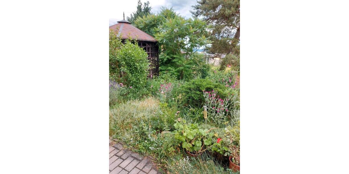 Wohnen auf Zeit Saalfeld (Saale) - 2 Zimmer, 50 m&sup2;, 40&euro; | Angebot:24700760