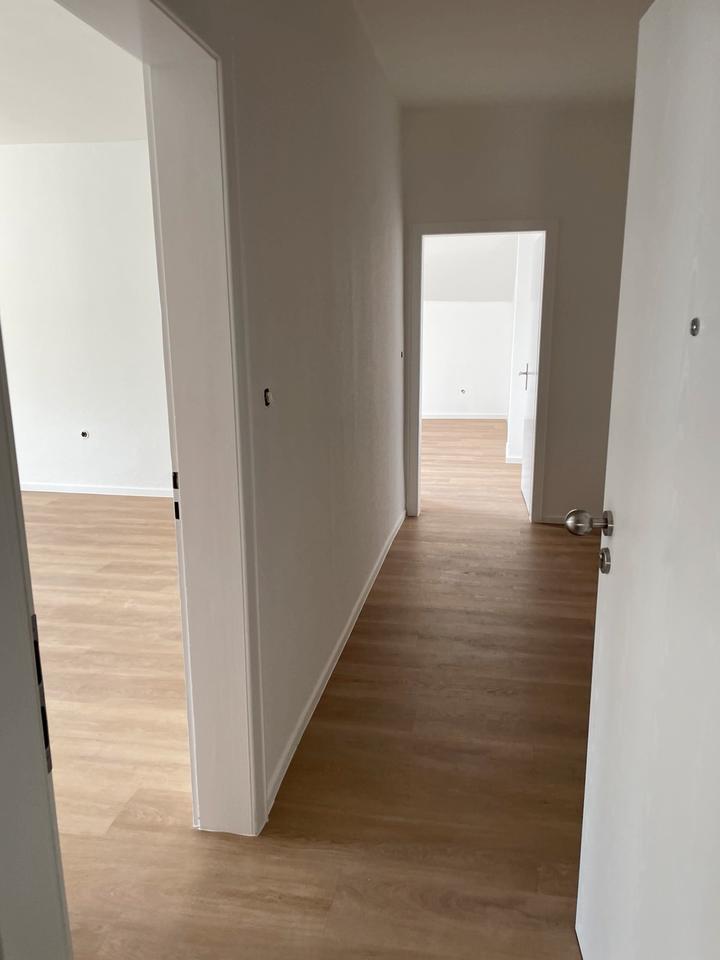 Zwei Zimmer Wohnung frisch renoviert