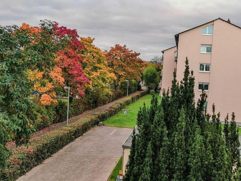 2-Zimmer-Appartement in Uni-Nähe, stilvoll und komfortabel zum Wohlfühlen. Erstbezug! zimmer