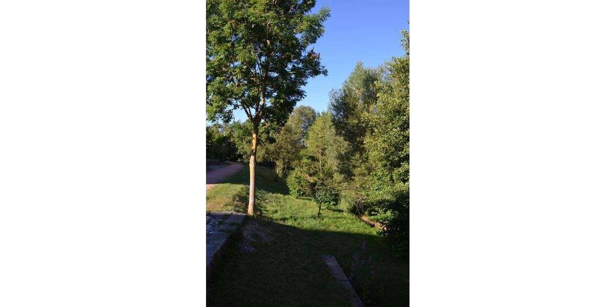 Etagenwohnung Niedereschach - 2 Zimmer, 60 m&sup2;, 510&euro; | Angebot:25927618