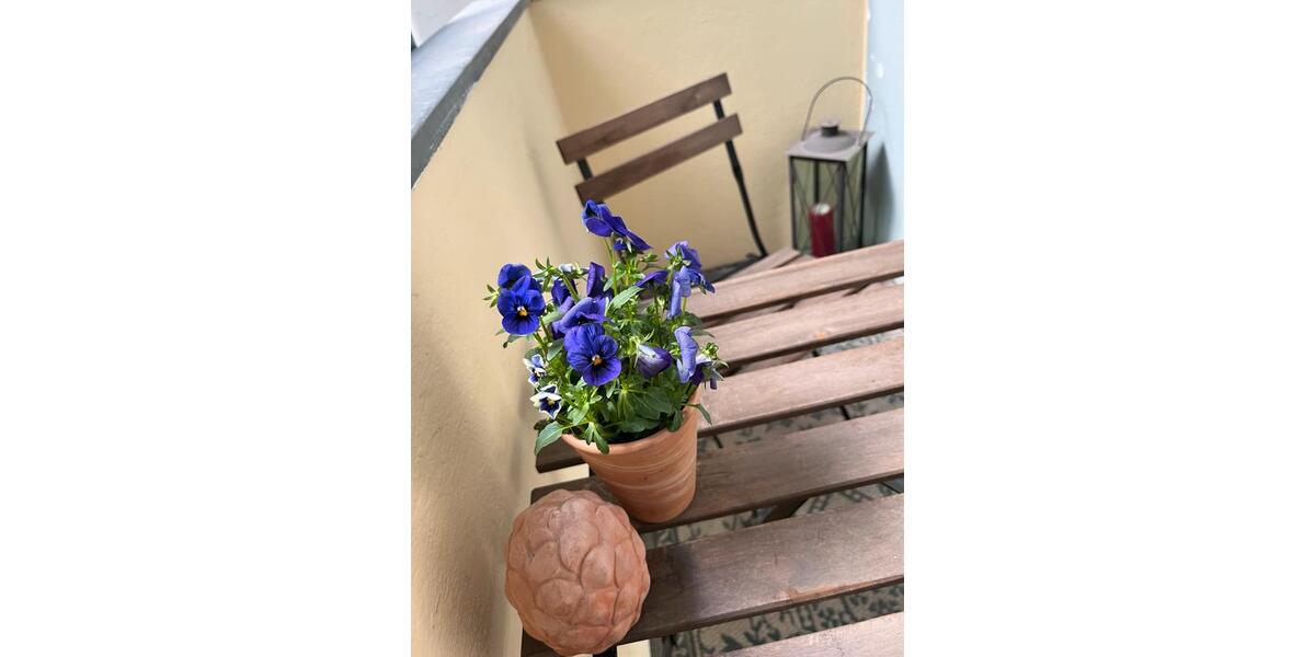 Wohnen auf Zeit Hannover - 1 Zimmer, 38 m&sup2;, 890&euro; | Angebot:20386189