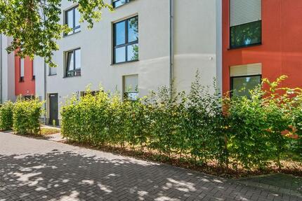 Einziehen und Wohlfühlen: 3-Zimmer-Wohnung mit EBK und Balkon zimmer