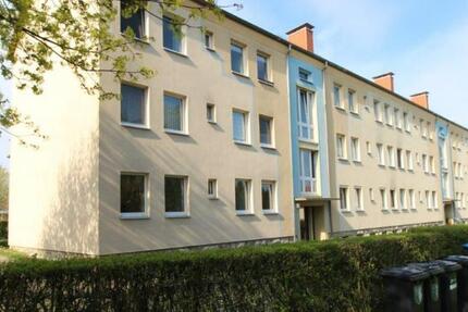 Wohnung zu vermieten in Apolda zimmer