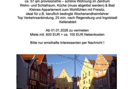1 Zimmer EG-Appartement in Abensberg-Stadtmitte 1 zimmer
