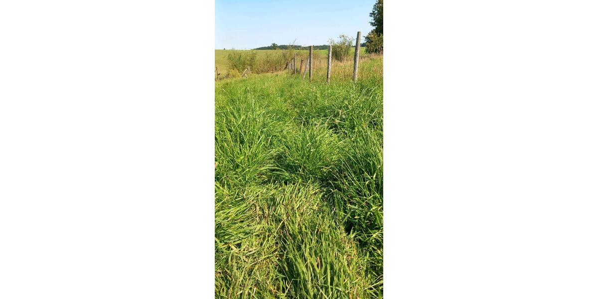 Wohnen auf Zeit Wildpoldsried - 2.5 Zimmer, 160 m&sup2;, 785&euro; | Angebot:24842223