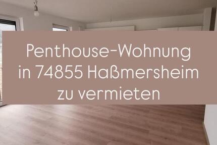 Haus Haßmersheim - 2 Zimmer, 72 m&sup2;, 1.250&euro; | Angebot:24463664
