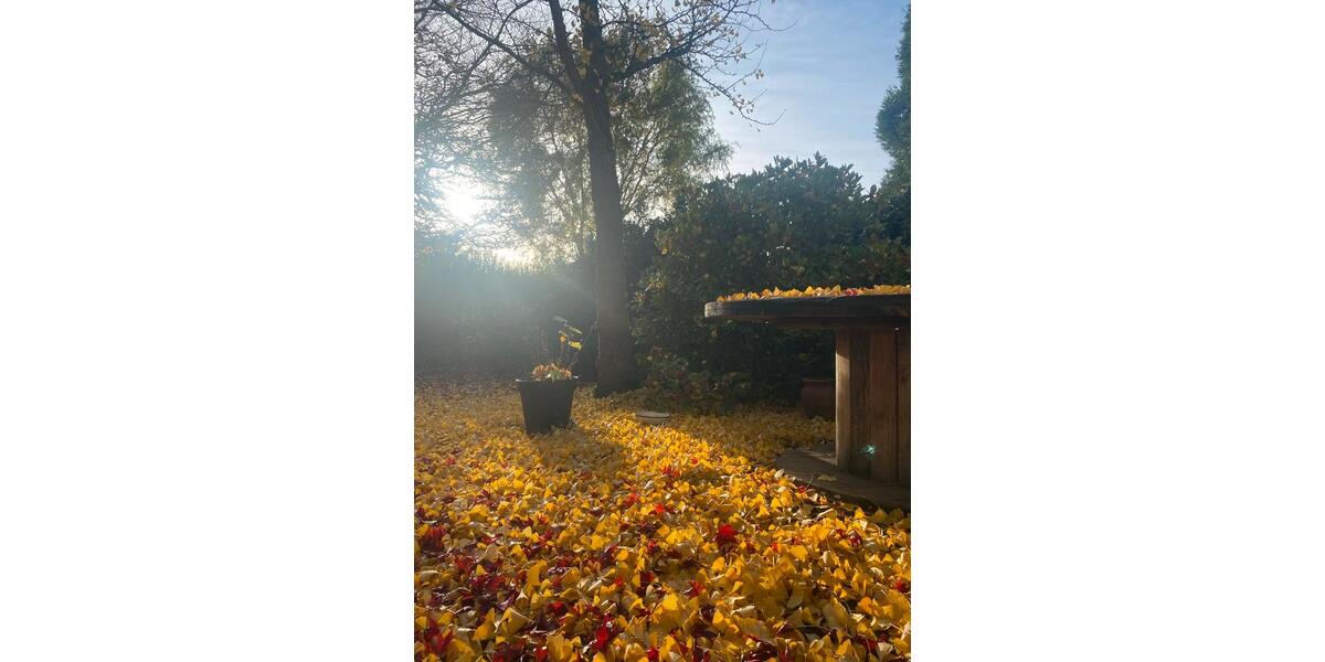 Zimmer zur Untermiete zimmer